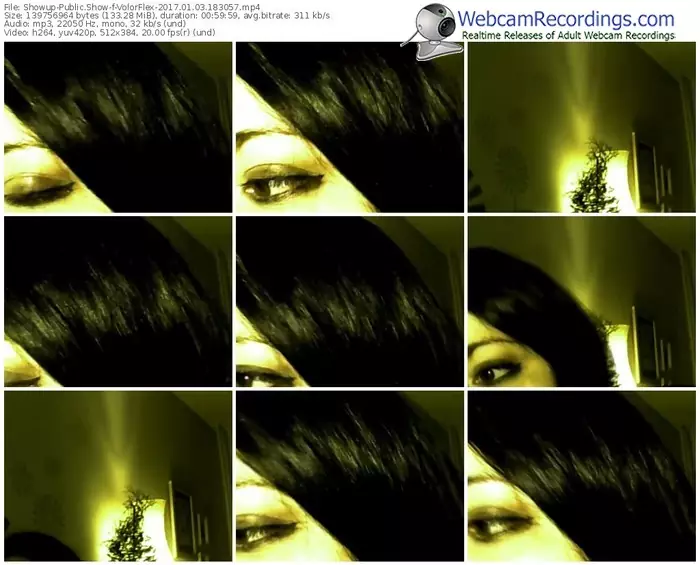 showup-volorflex-webcam-show-01_03_2017-18_30_57