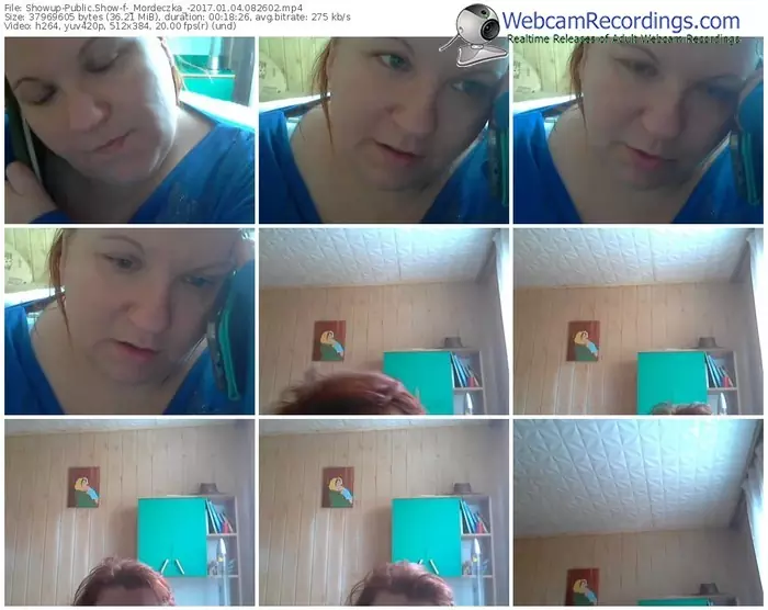 showup-_mordeczka_-webcam-show-01_04_2017-08_26_02