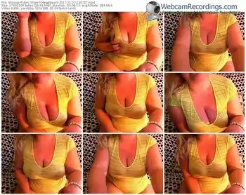 showup-megasquirt-webcam-show-01_07_2017-13_07_27