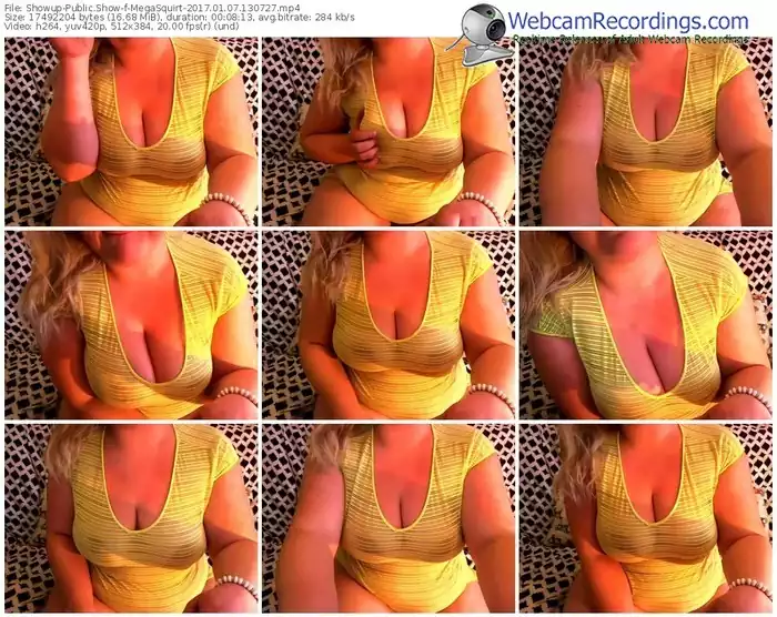 showup-megasquirt-webcam-show-01_07_2017-13_07_27