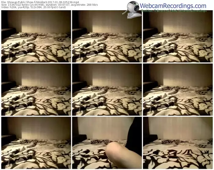 showup-nikolka3-webcam-show-01_08_2017-00_52_39