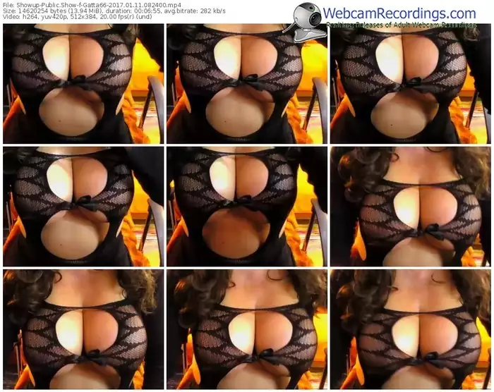 showup-gatta66-webcam-show-01_11_2017-08_24_00