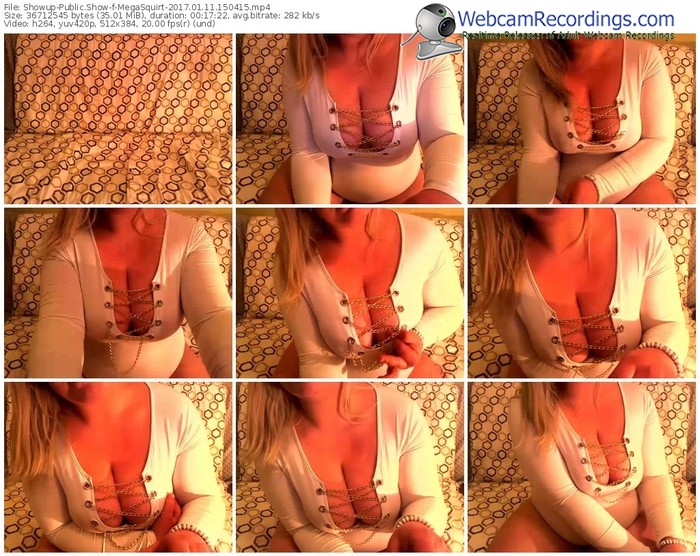 showup-megasquirt-webcam-show-01_11_2017-15_04_15
