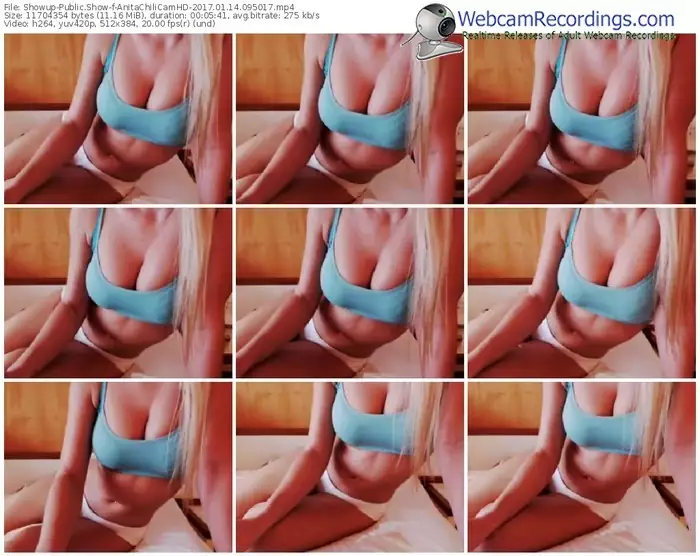 showup-anitachilicamhd-webcam-show-01_14_2017-09_50_17