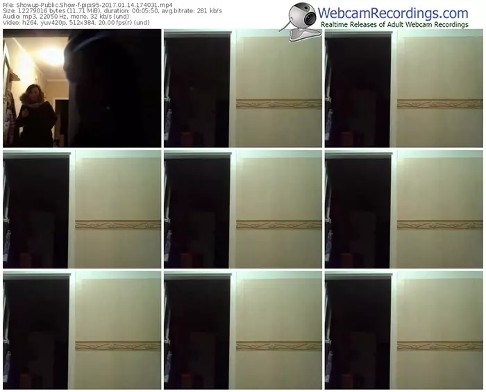 showup-pipi95-webcam-show-01_14_2017-17_40_31