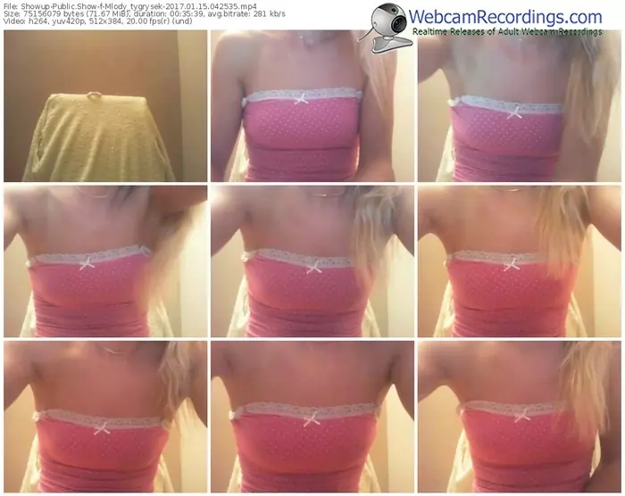 showup-mlody_tygrysek-webcam-show-01_15_2017-04_25_35