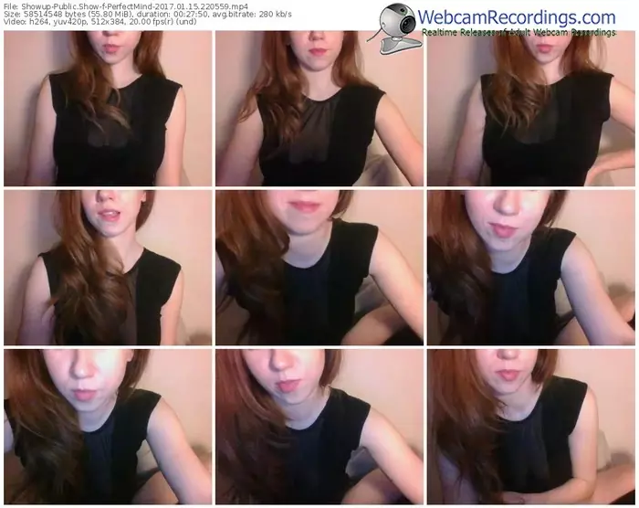 showup-perfectmind-webcam-show-01_15_2017-22_05_59