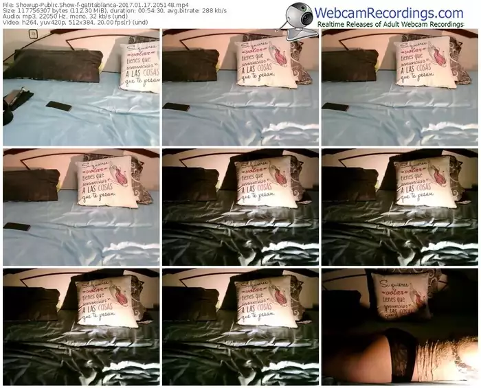 showup-gatitablanca-webcam-show-01_17_2017-20_51_48