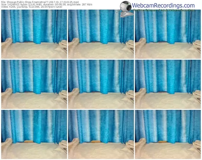 showup-namietna77-webcam-show-01_17_2017-01_01_25