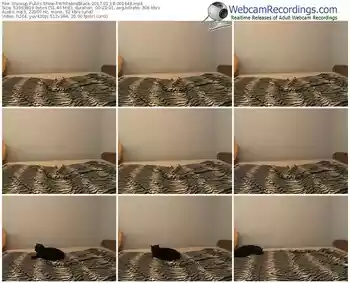 showup-whiteandblack-webcam-show-01_18_2017-00_16_48