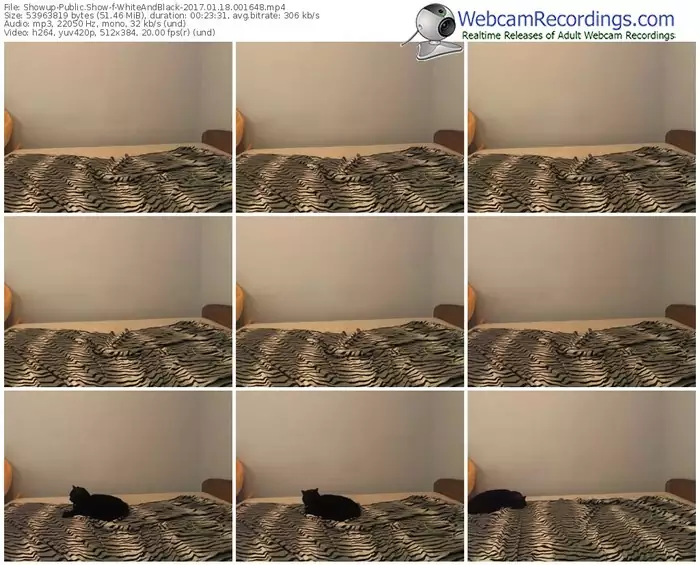 showup-whiteandblack-webcam-show-01_18_2017-00_16_48