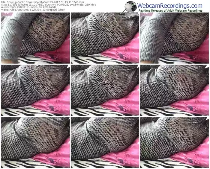 showup-cycatasucz19-webcam-show-01_19_2017-11_57_45