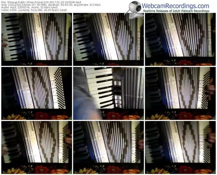 showup-roza1234-webcam-show-01_20_2017-16_35_28