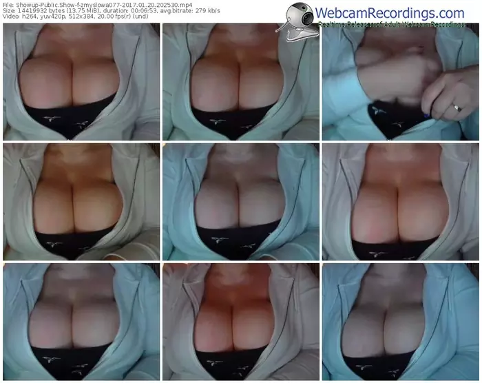 showup-zmyslowa077-webcam-show-01_20_2017-20_25_30