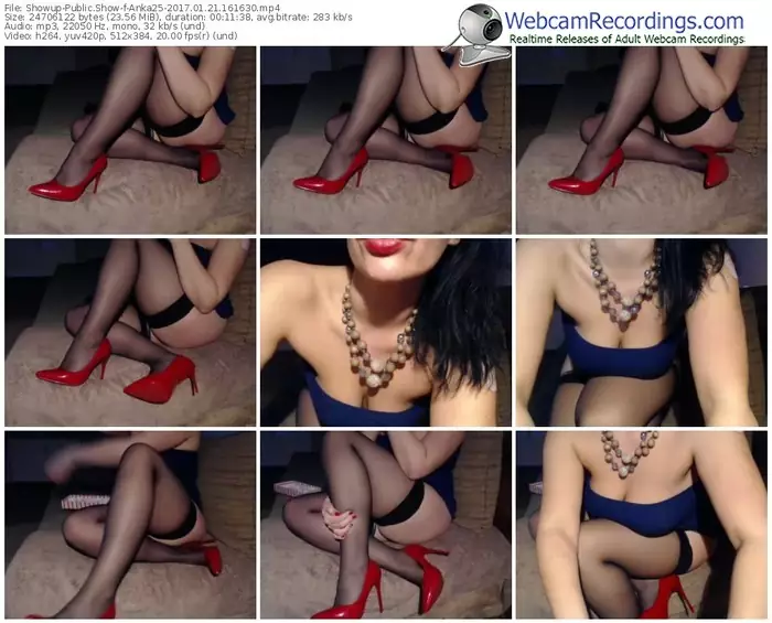 showup-anka25-webcam-show-01_21_2017-16_16_30