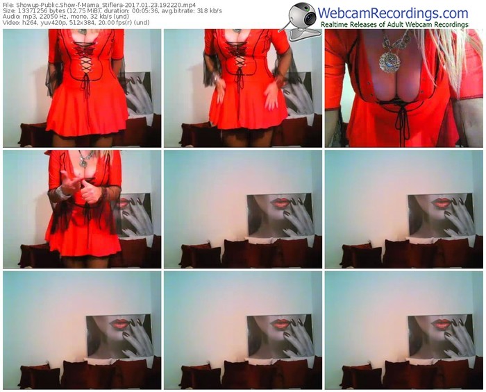 showup-mama_stiflera-webcam-show-01_23_2017-19_22_20