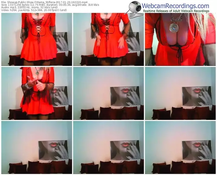 showup-mama_stiflera-webcam-show-01_23_2017-19_22_20