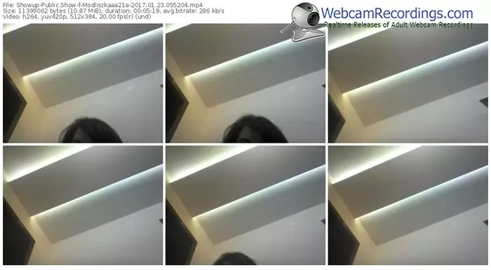 showup-modliszkaaa21a-webcam-show-01_23_2017-05_52_04