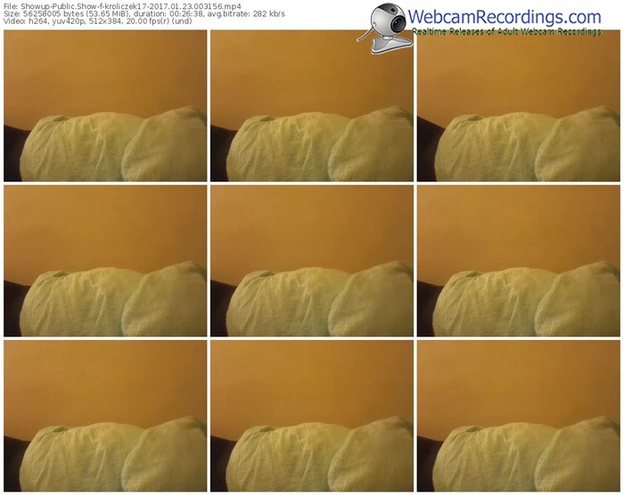 showup-kroliczek17-webcam-show-01_23_2017-00_31_56