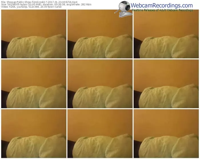 showup-kroliczek17-webcam-show-01_23_2017-00_31_56