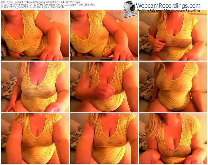 showup-megasquirt-webcam-show-01_24_2017-10_57_31