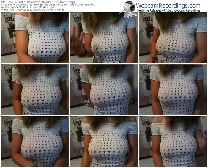 showup-moni30-webcam-show-01_25_2017-10_22_57