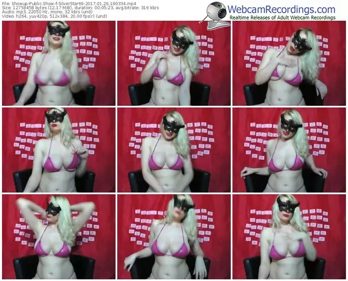 showup-silverstar69-webcam-show-01_26_2017-19_03_34