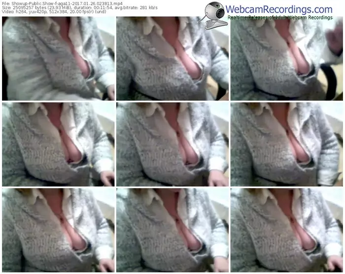 showup-aga11-webcam-show-01_26_2017-02_38_13