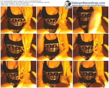 showup-_porsche_-webcam-show-01_28_2017-02_39_09