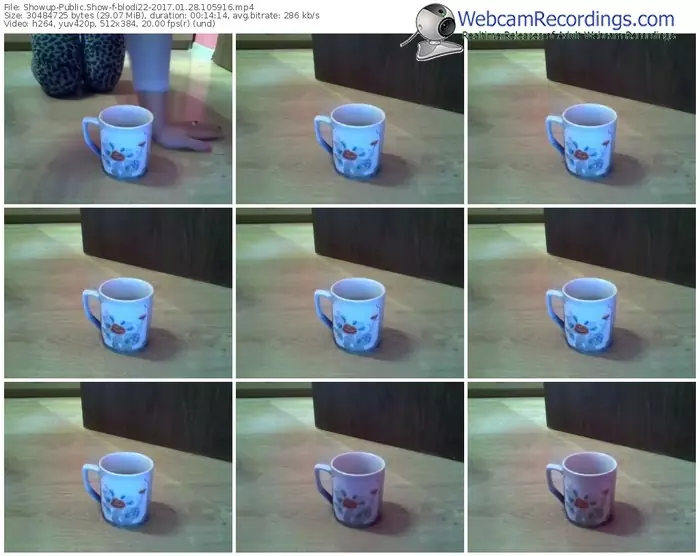 showup-blodi22-webcam-show-01_28_2017-10_59_16