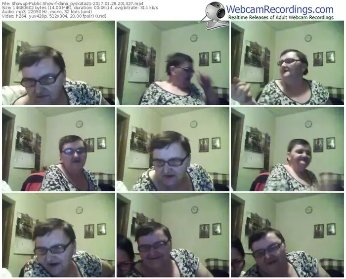 showup-dana_pyskata21-webcam-show-01_28_2017-20_14_27