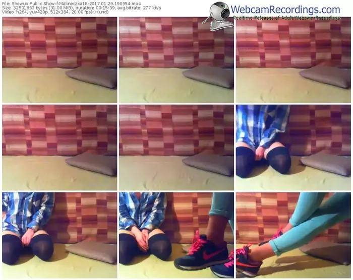 showup-malineczka18-webcam-show-01_29_2017-19_09_54