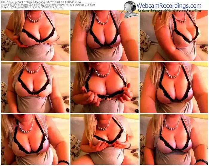 showup-megasquirt-webcam-show-01_29_2017-12_09_43