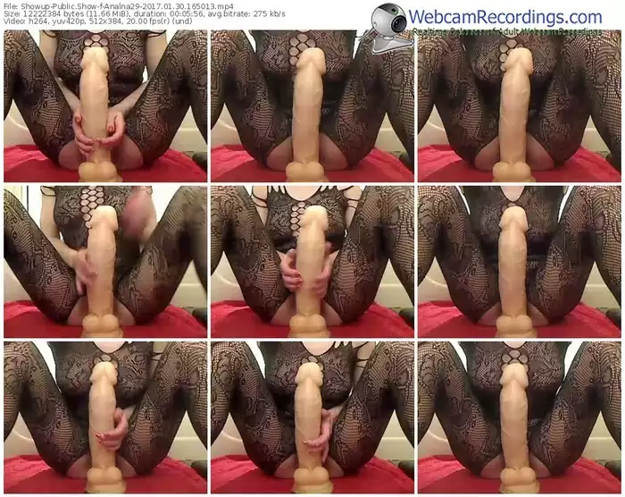 showup-analna29-webcam-show-01_30_2017-16_50_13