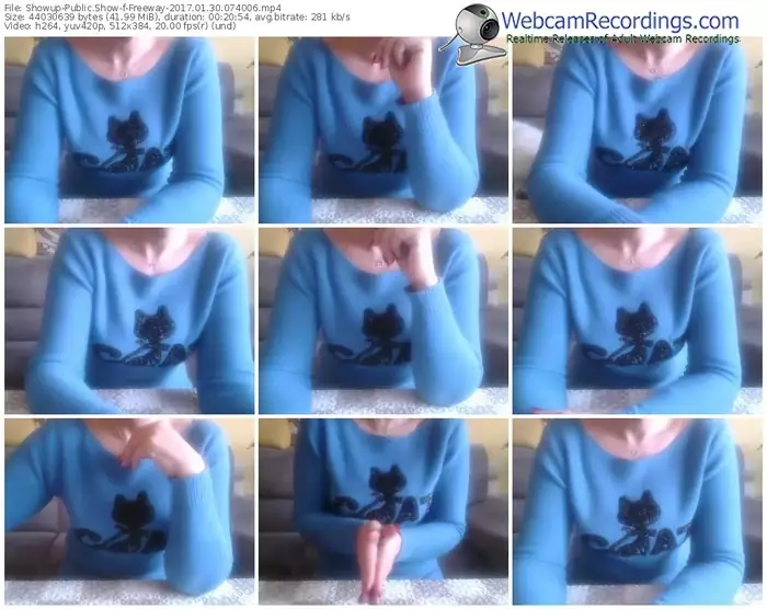 showup-freeway-webcam-show-01_30_2017-07_40_06