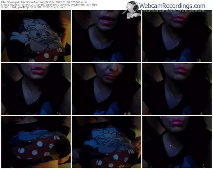 showup-xxbrunetka29x-webcam-show-01_30_2017-02_55_03