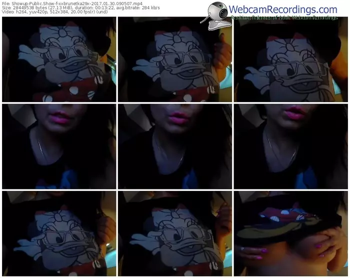 showup-xxbrunetka29x-webcam-show-01_30_2017-09_05_07