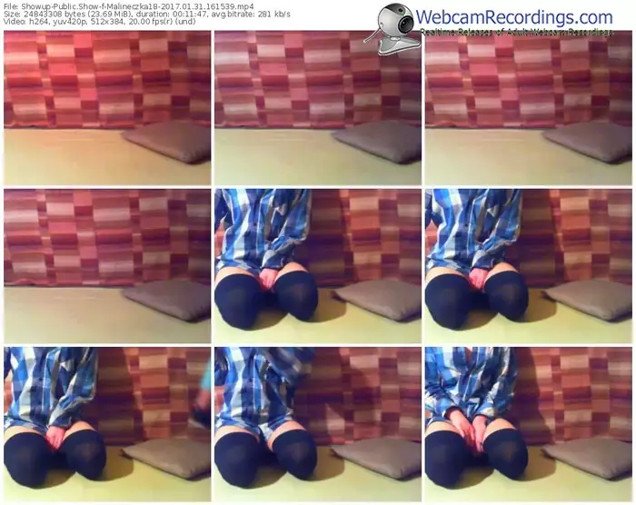 showup-malineczka18-webcam-show-01_31_2017-16_15_39