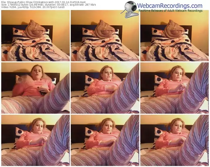 showup-dzikakocicahd-webcam-show-02_14_2017-01_45_18