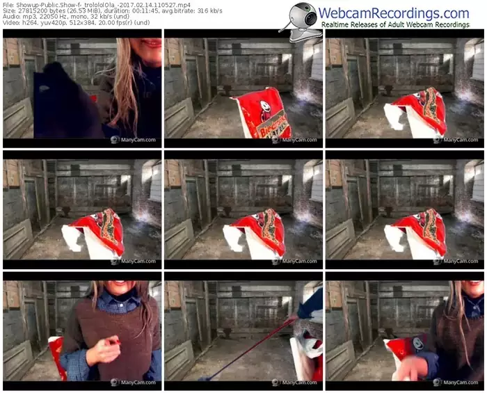 showup-_trolololola_-webcam-show-02_14_2017-11_05_27