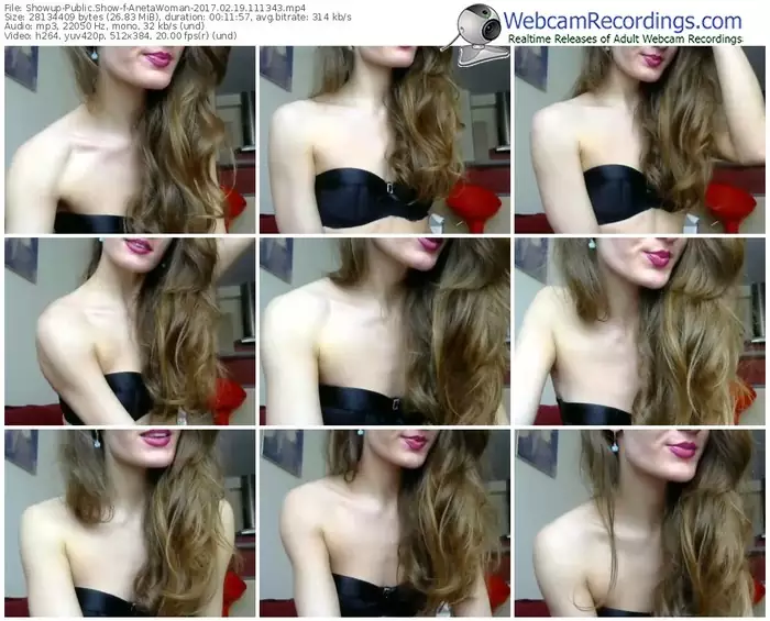 showup-anetawoman-webcam-show-02_19_2017-11_13_43