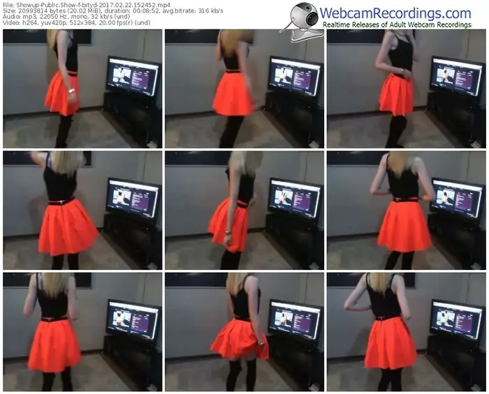 showup-bityd-webcam-show-02_22_2017-15_24_52