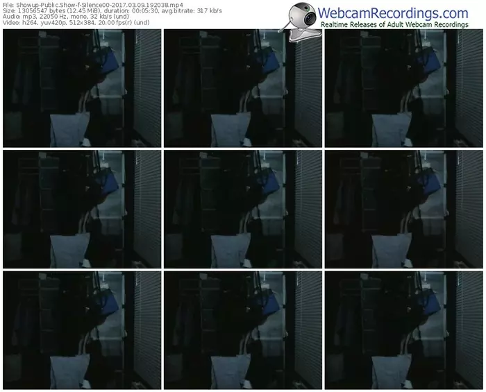 showup-silence00-webcam-show-03_09_2017-19_20_38