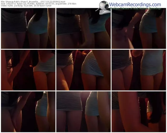 showup-_brunetka__-webcam-show-03_22_2017-05_09_02