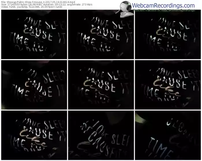 showup-mouse_n-webcam-show-05_19_2017-01_44_14