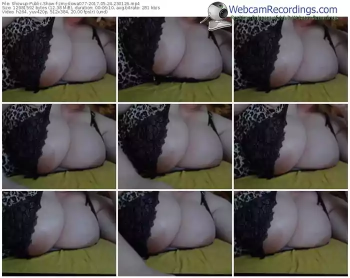 showup-zmyslowa077-webcam-show-05_24_2017-23_01_26