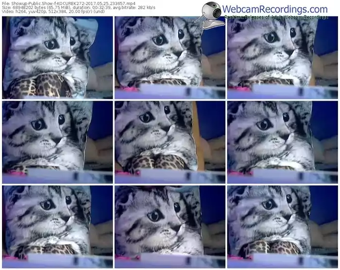showup-kocurek272-webcam-show-05_25_2017-23_36_57