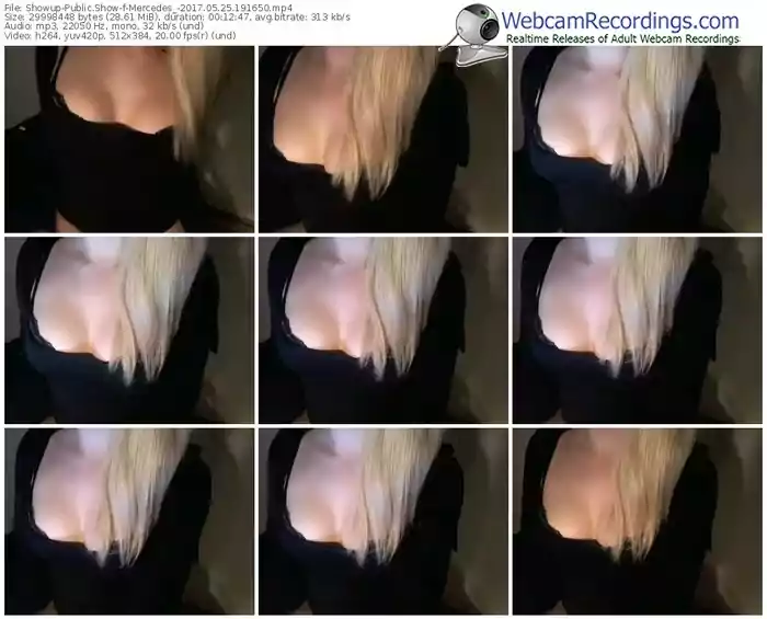 showup-mercedes_-webcam-show-05_25_2017-19_16_50