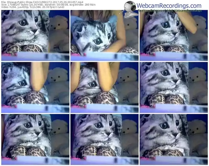 showup-kocurek272-webcam-show-05_26_2017-00_16_57
