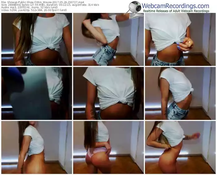 showup-mini_mouse-webcam-show-05_26_2017-23_07_27